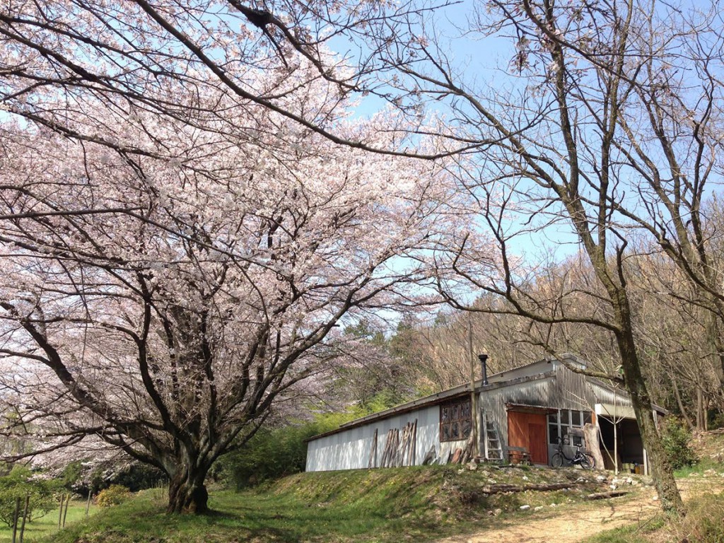里山の自然に囲まれた工房。桜の季節がおすすめ！（同製作所提供）